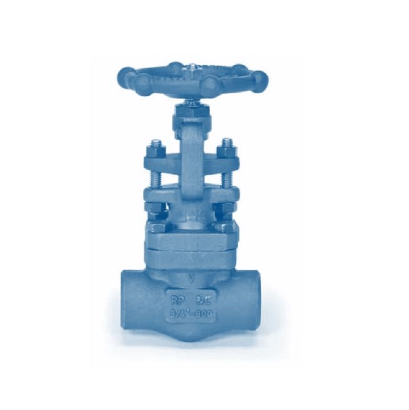 Globe Valve 1" Forged Steel A105 Class 800 Bolted Bonnet & Gland OS&Y Standard Port Socket Weld Ends Max Pressure 1975 PSIG
